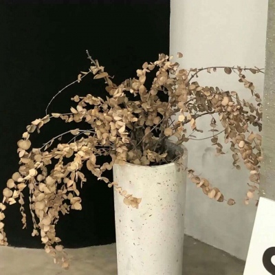 来凤FurryQQ群介绍